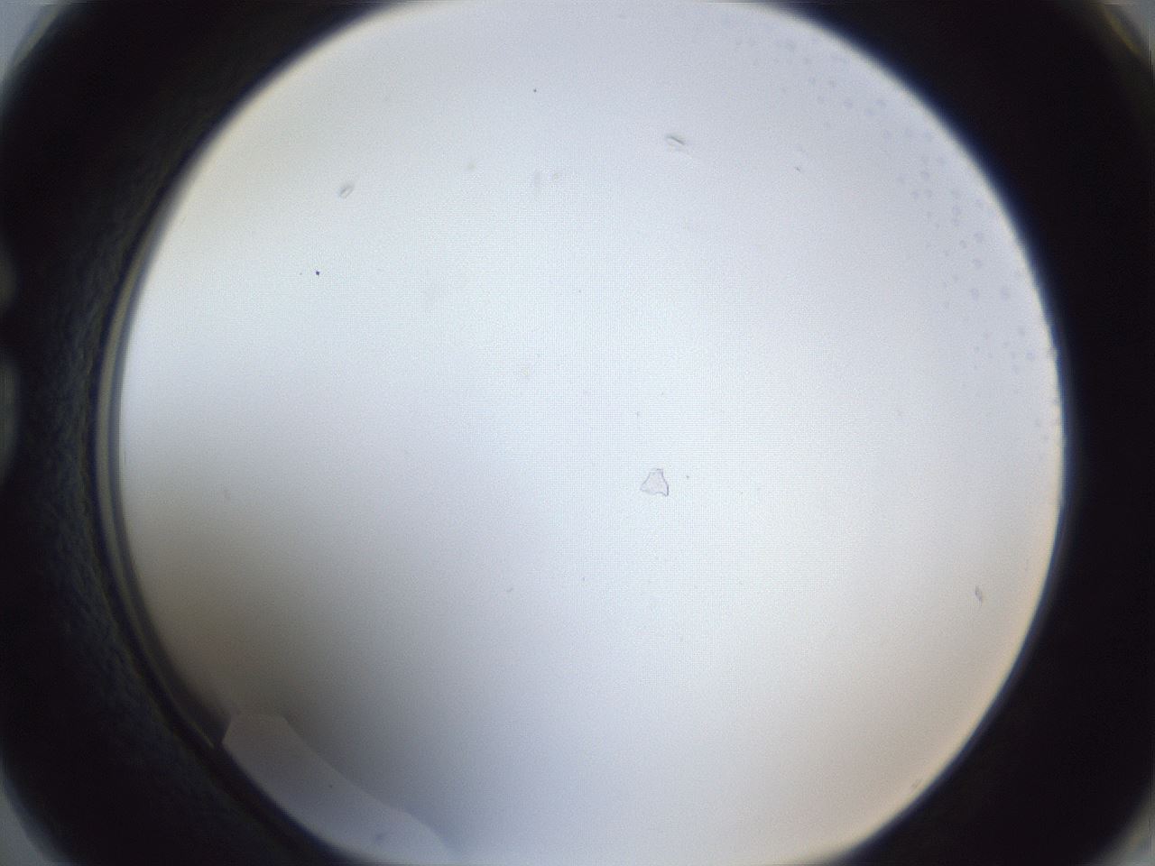 folderID205_plateID1205_batchID3675_wellNum74_profileID1_d1_r66898_ef.jpg
