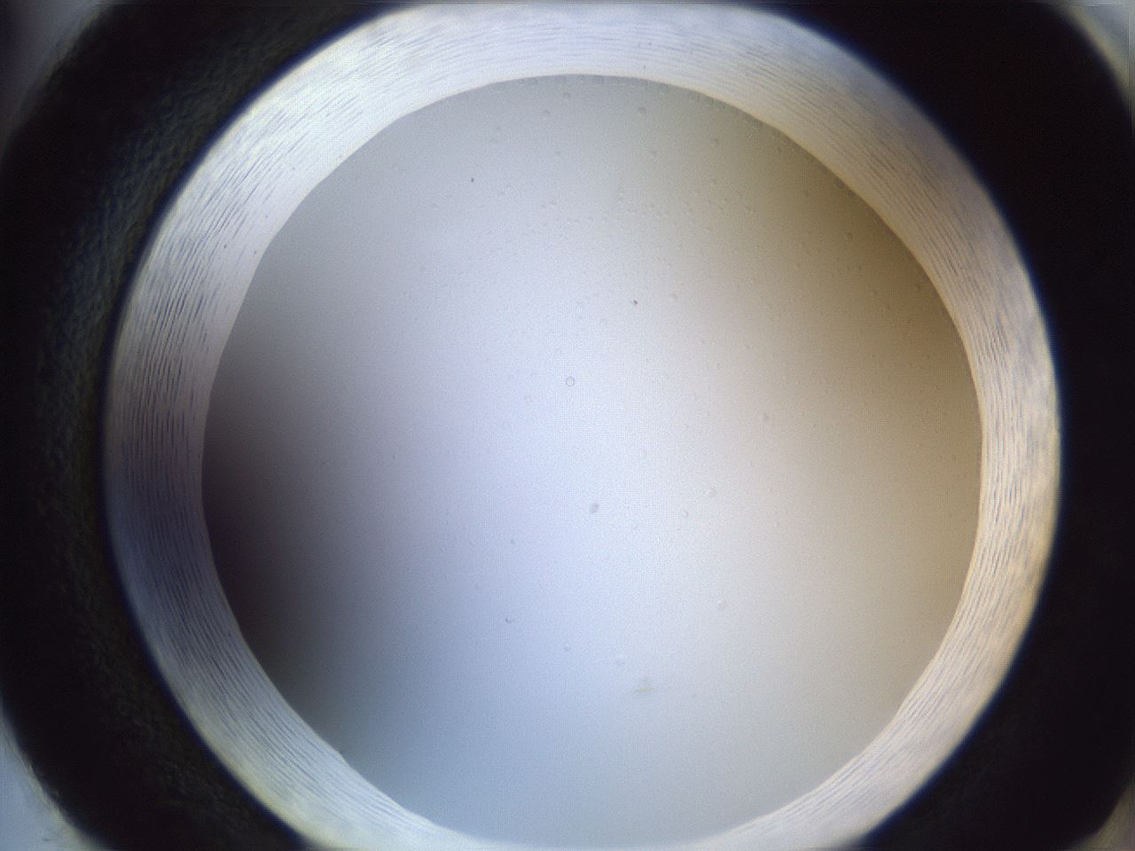 folderID205_plateID1205_batchID3675_wellNum86_profileID1_d2_r66923_ef.jpg