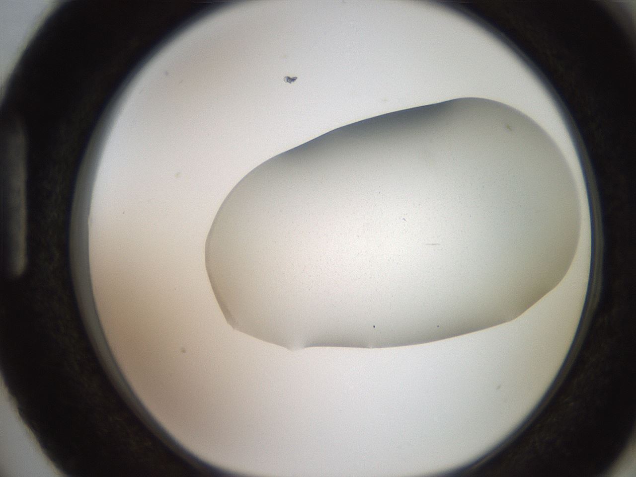 folderID205_plateID2205_batchID10007_wellNum87_profileID1_d1_r150115_ef.jpg