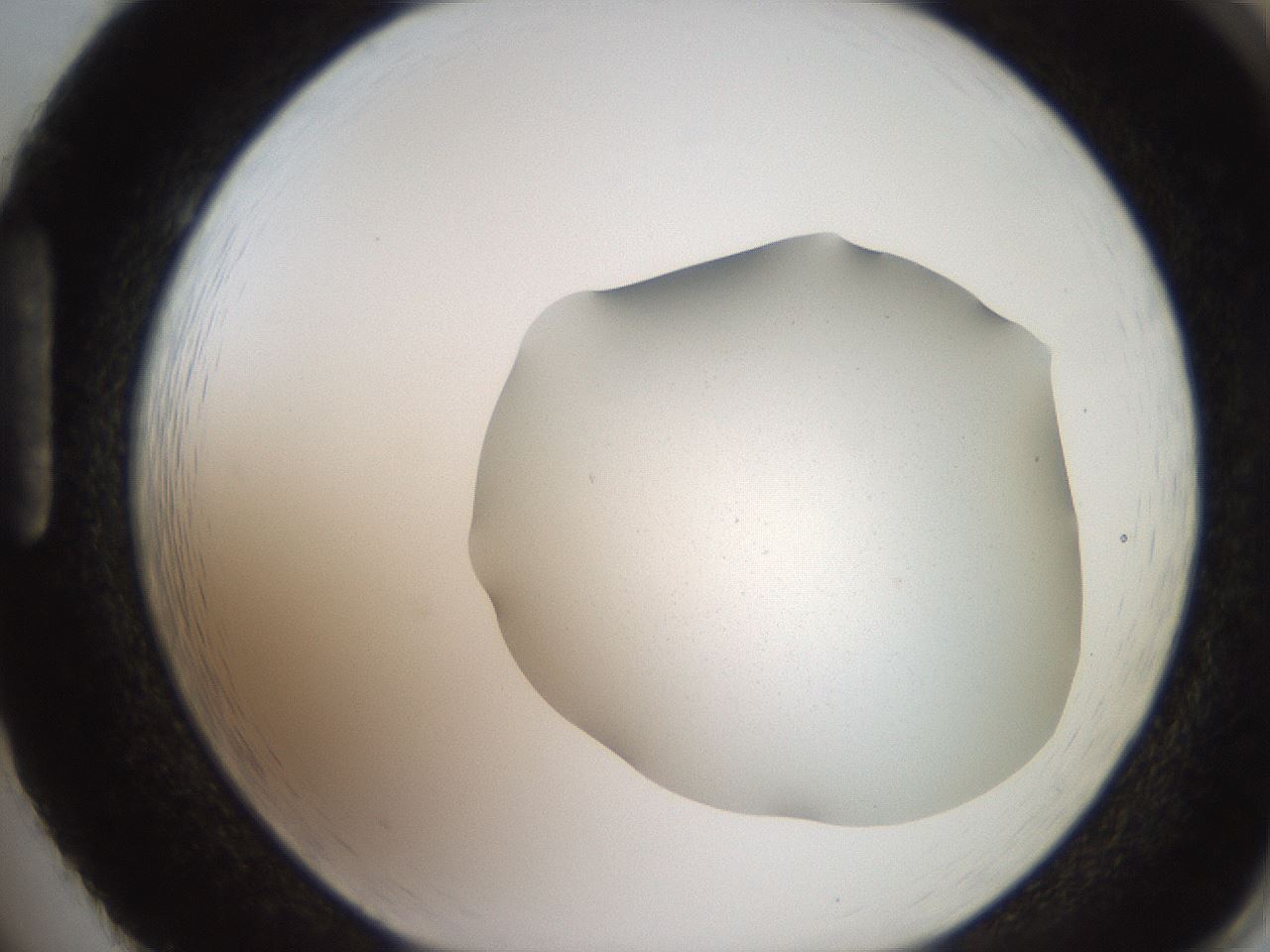 folderID205_plateID2205_batchID10007_wellNum86_profileID1_d1_r150113_ef.jpg