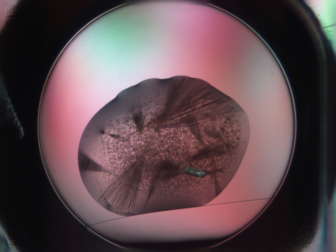 03ck_A2_ImagerDefaults_8.jpg