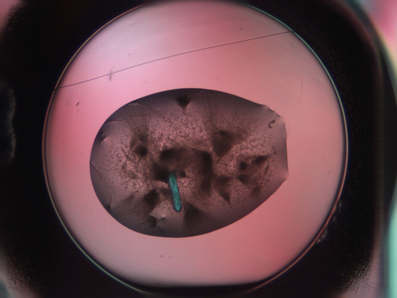 03ck_B2_ImagerDefaults_9.jpg