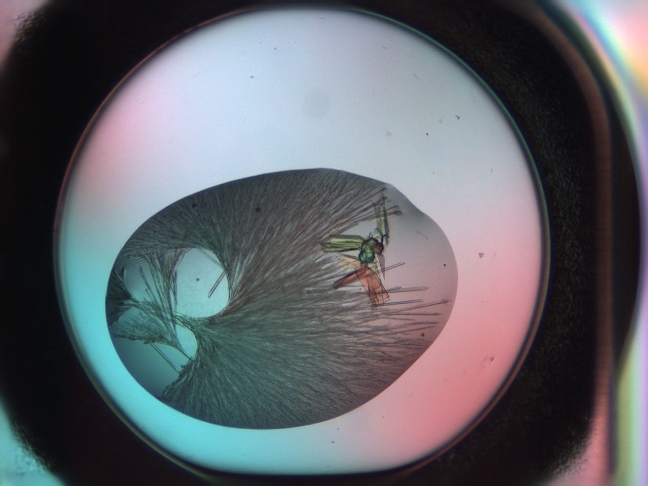 03ck_E4_ImagerDefaults_8.jpg