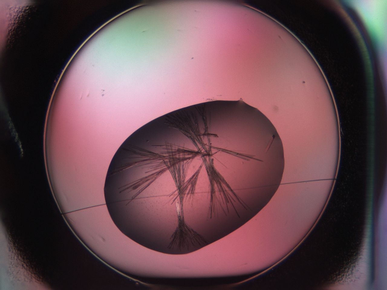 03ck_A1_ImagerDefaults_7.jpg