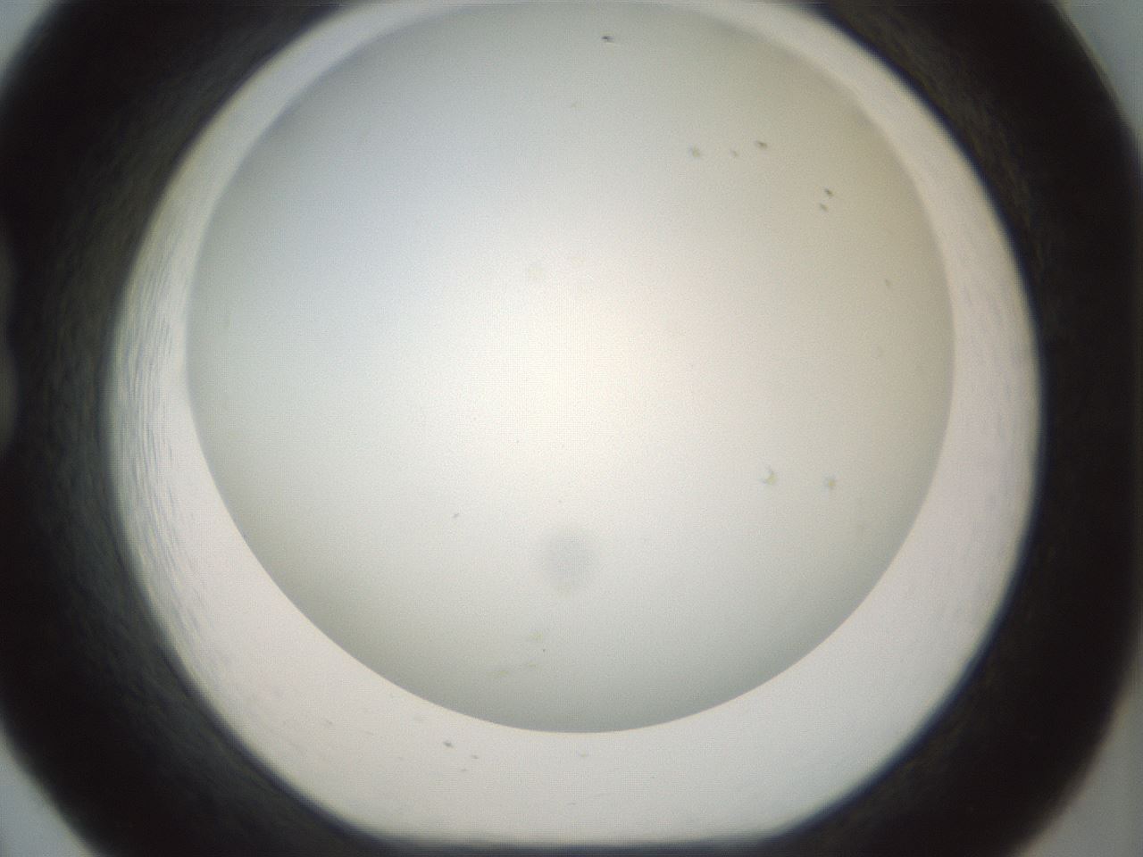 folderID207_plateID1207_batchID3655_wellNum20_profileID1_d1_r67654_ef.jpg