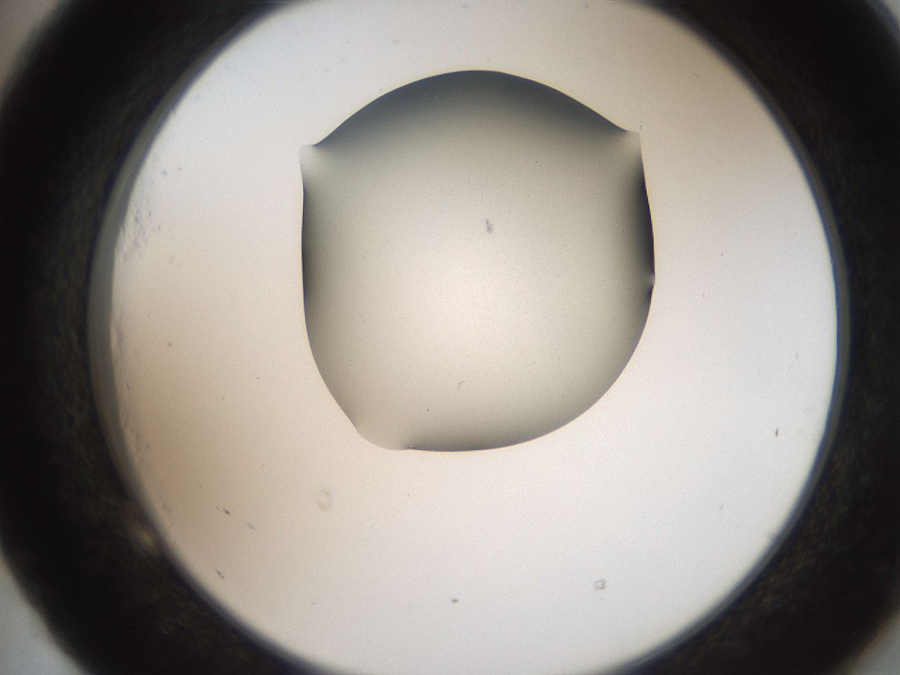 folderID207_plateID2207_batchID10014_wellNum53_profileID1_d2_r150240_ef.jpg