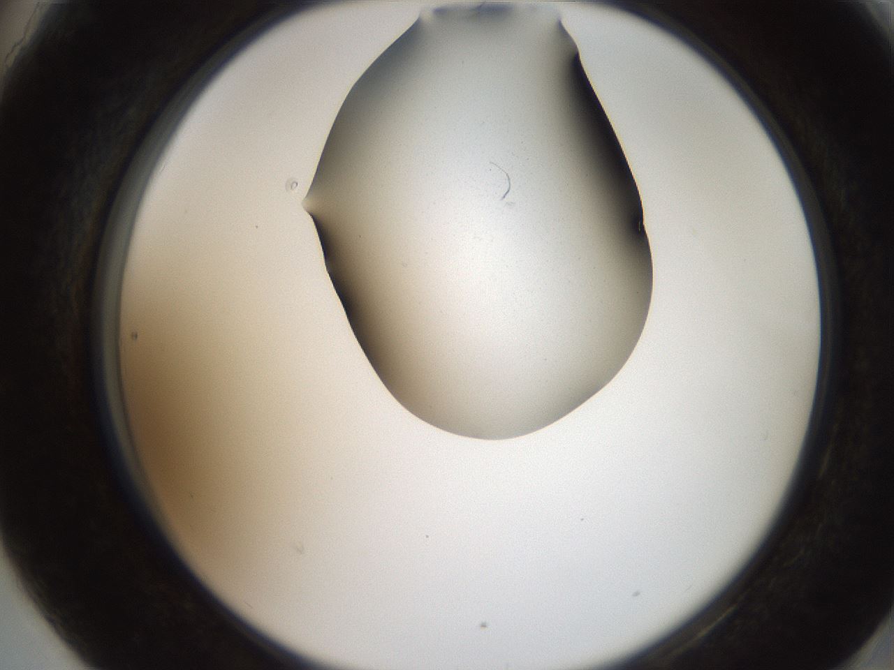 folderID207_plateID2207_batchID10014_wellNum90_profileID1_d2_r150314_ef.jpg