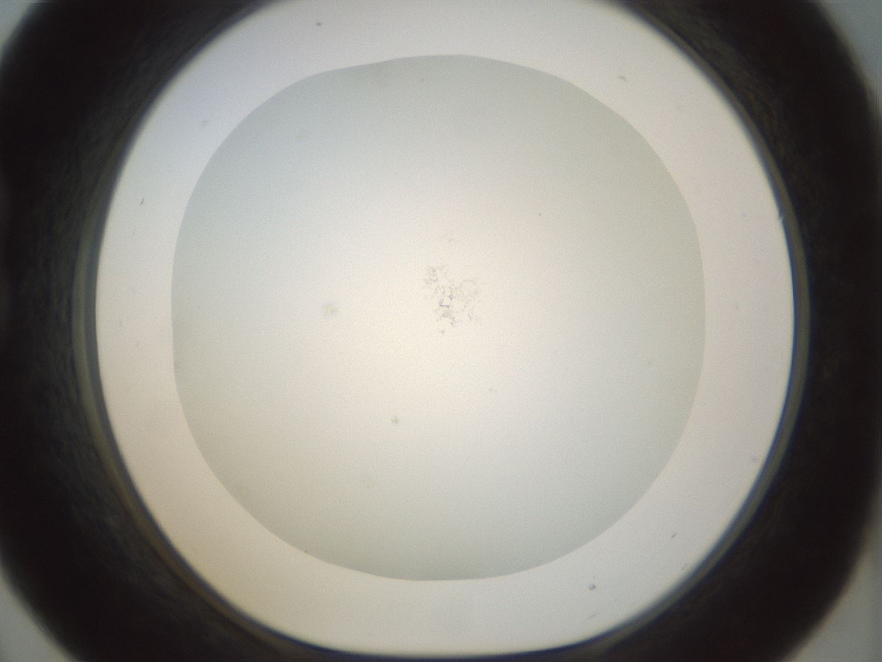 folderID208_plateID1208_batchID3624_wellNum21_profileID1_d1_r68616_ef.jpg