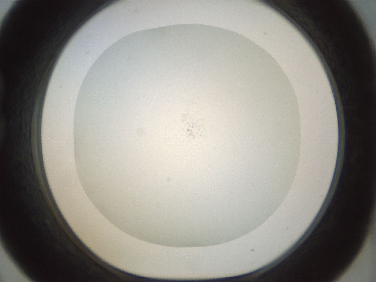 folderID208_plateID1208_batchID3661_wellNum21_profileID1_d1_r68616_ef.jpg