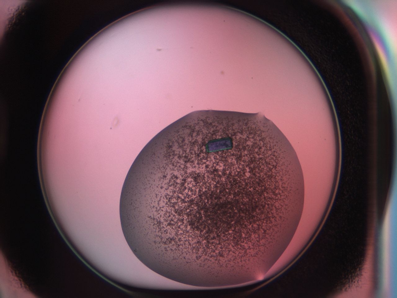 03ck_D2_ImagerDefaults_8.jpg