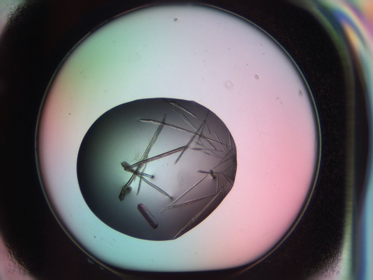 03ck_F8_ImagerDefaults_7.jpg