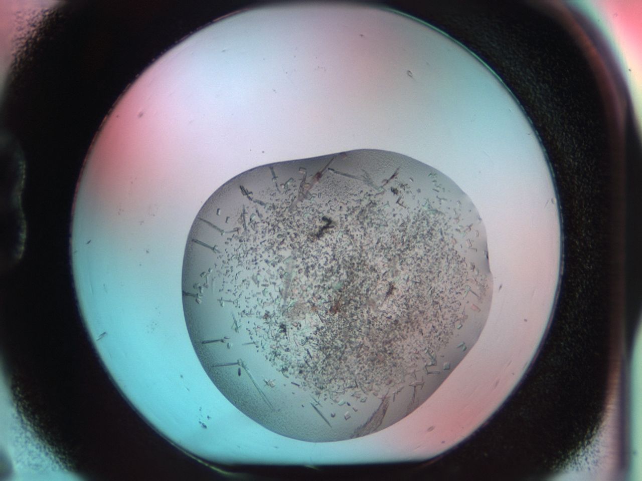 03cl_B6_ImagerDefaults_6.jpg
