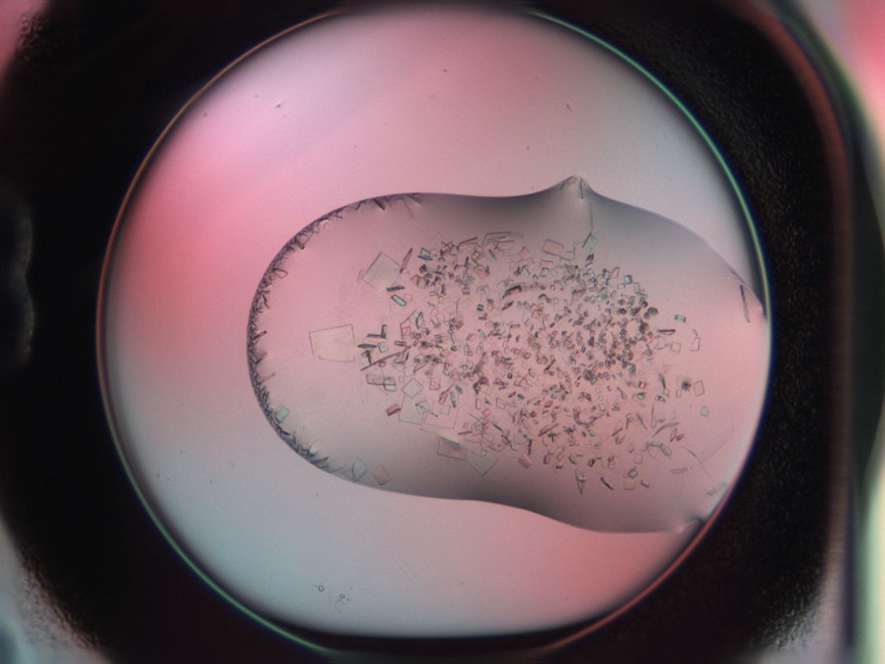 03cl_B3_ImagerDefaults_6.jpg