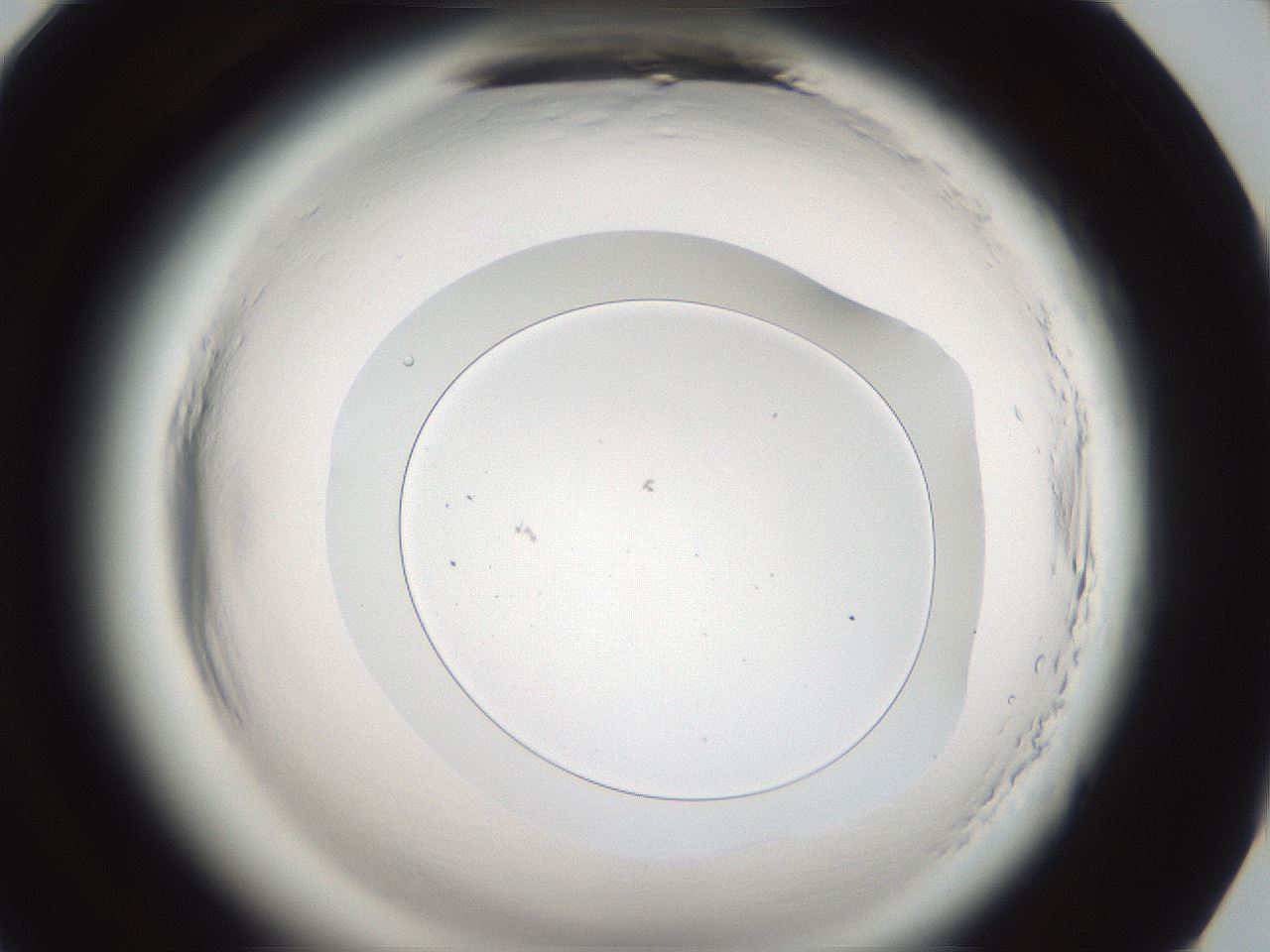 folderID587_plateID2587_batchID13159_wellNum94_profileID1_d1_r198144_ef.jpg