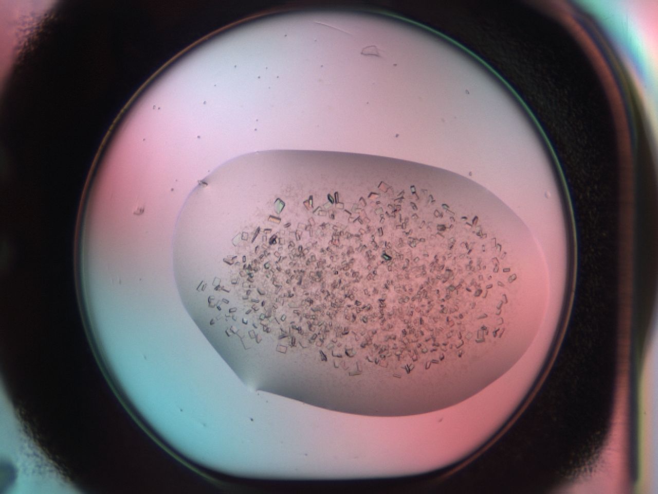 03cl_C7_ImagerDefaults_6.jpg