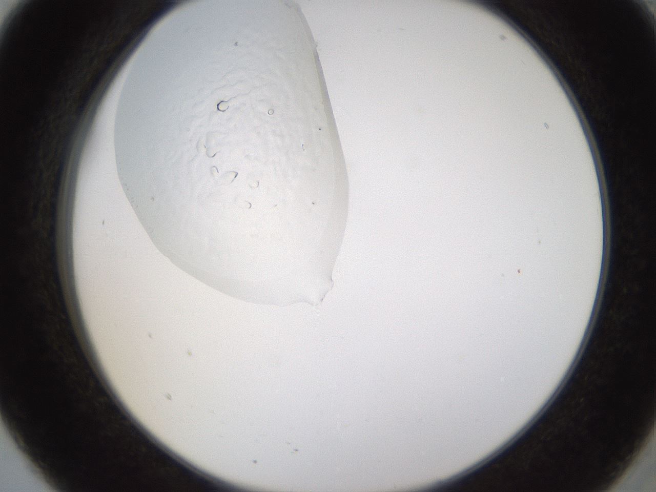 folderID593_plateID1593_batchID6726_wellNum5_profileID1_d2_r105597_ef.jpg