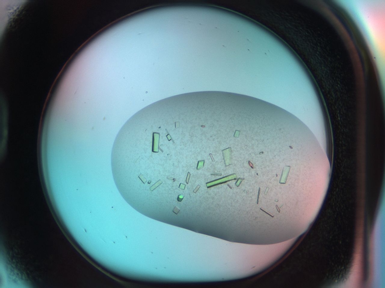 03cl_D5_ImagerDefaults_9.jpg
