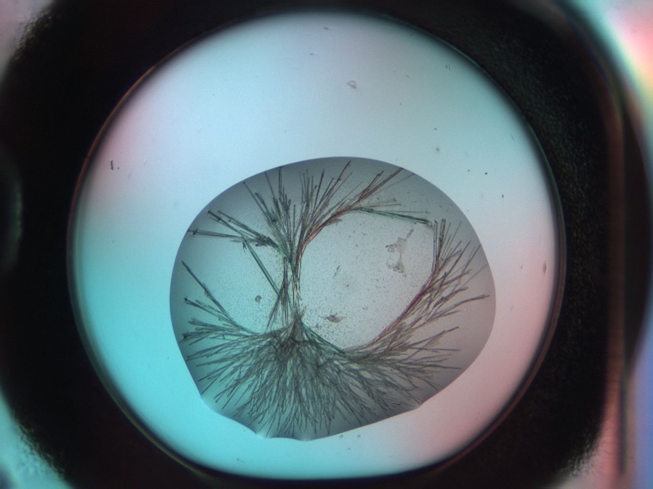 03cl_D6_ImagerDefaults_7.jpg