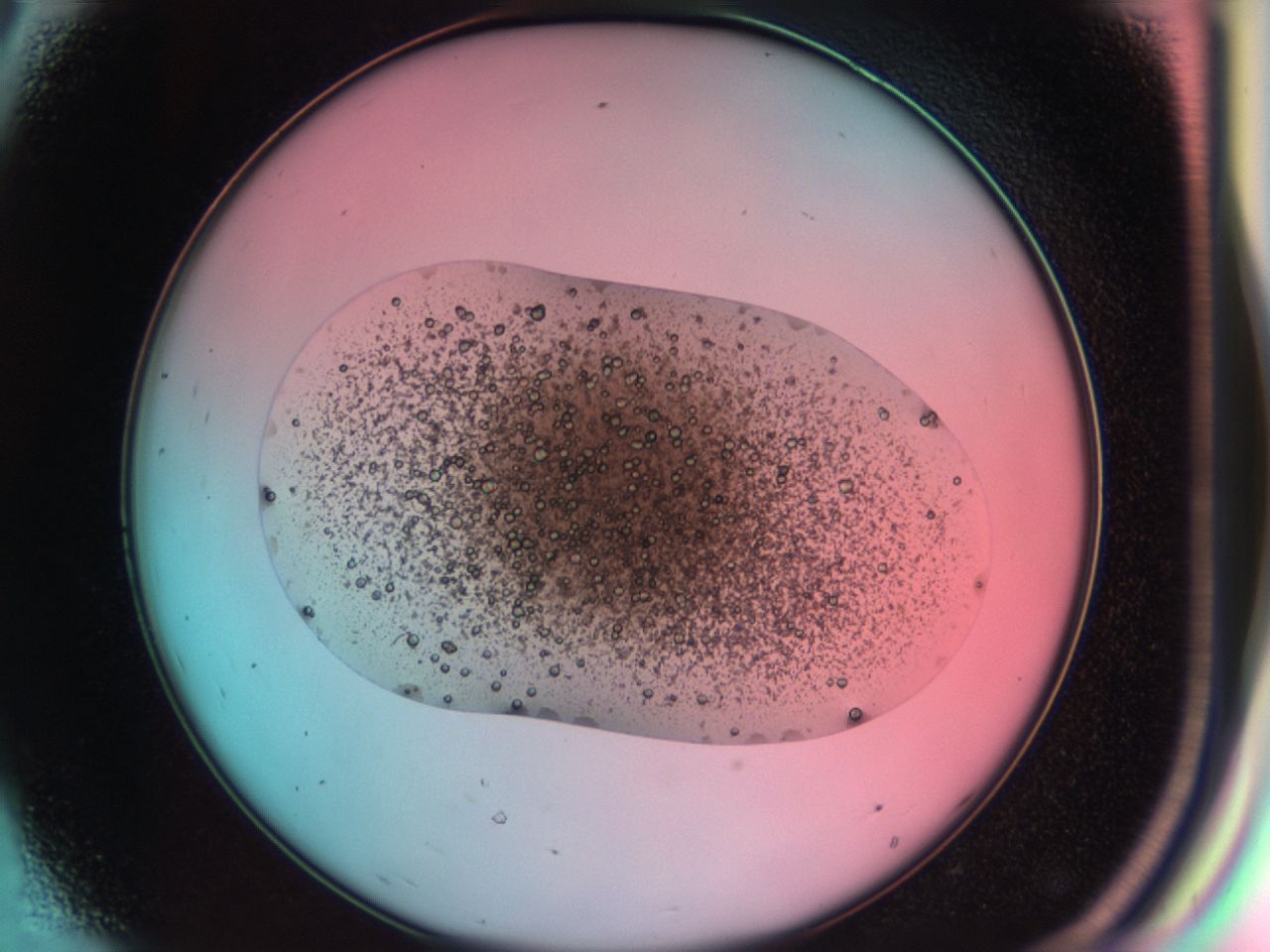 03cl_D8_ImagerDefaults_6.jpg