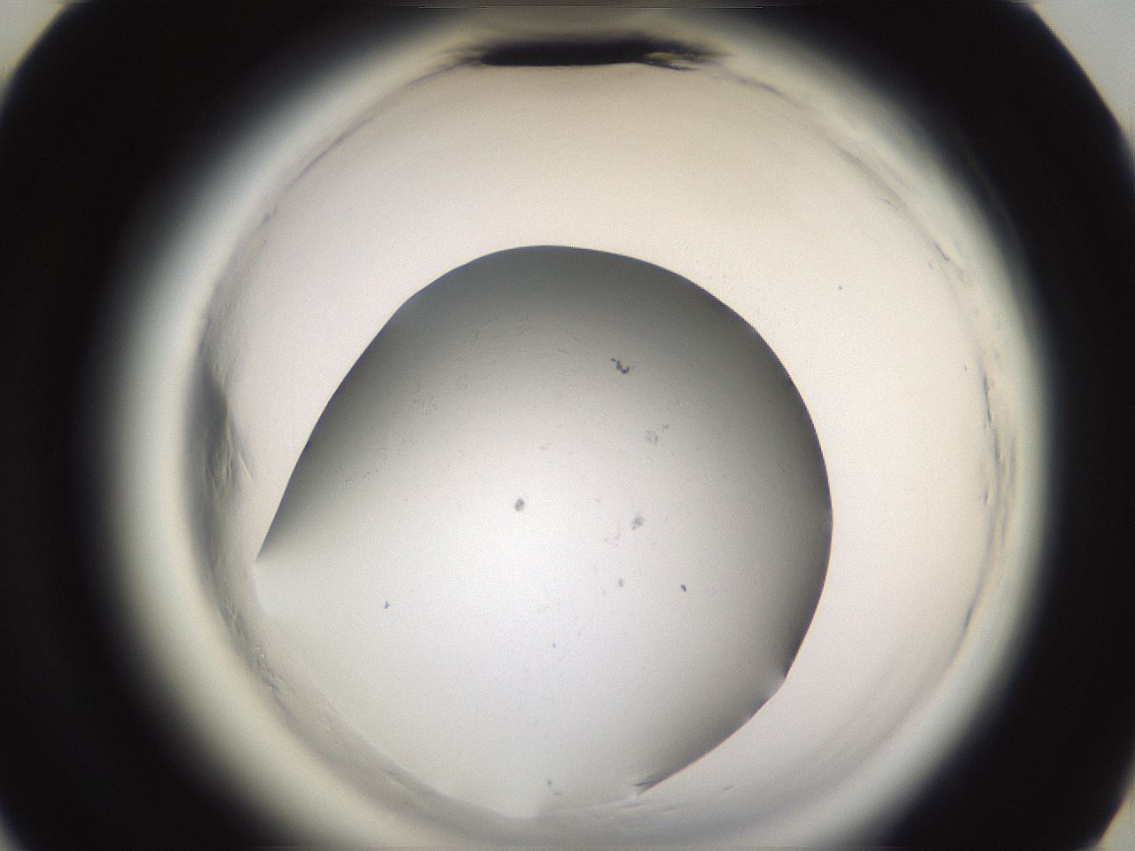 folderID596_plateID2596_batchID13191_wellNum44_profileID1_d3_r206925_ef.jpg