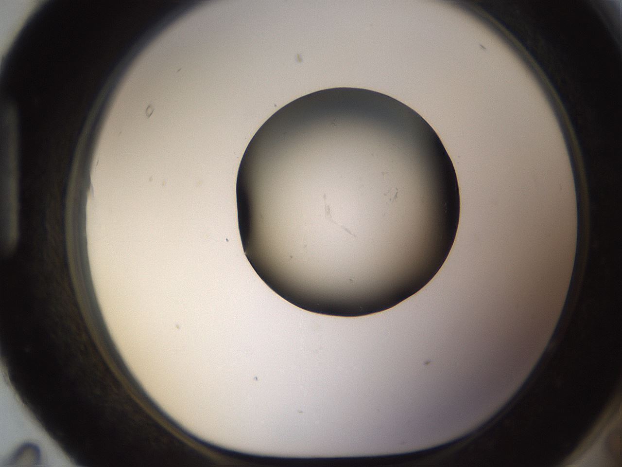 folderID597_plateID1597_batchID6720_wellNum95_profileID1_d1_r104624_ef.jpg