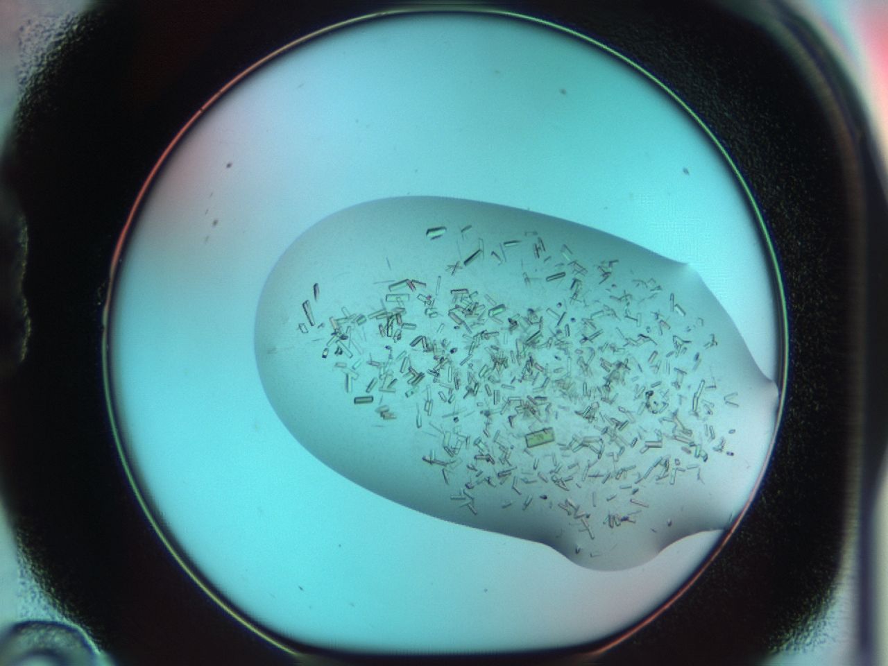 03cl_B10_ImagerDefaults_6.jpg