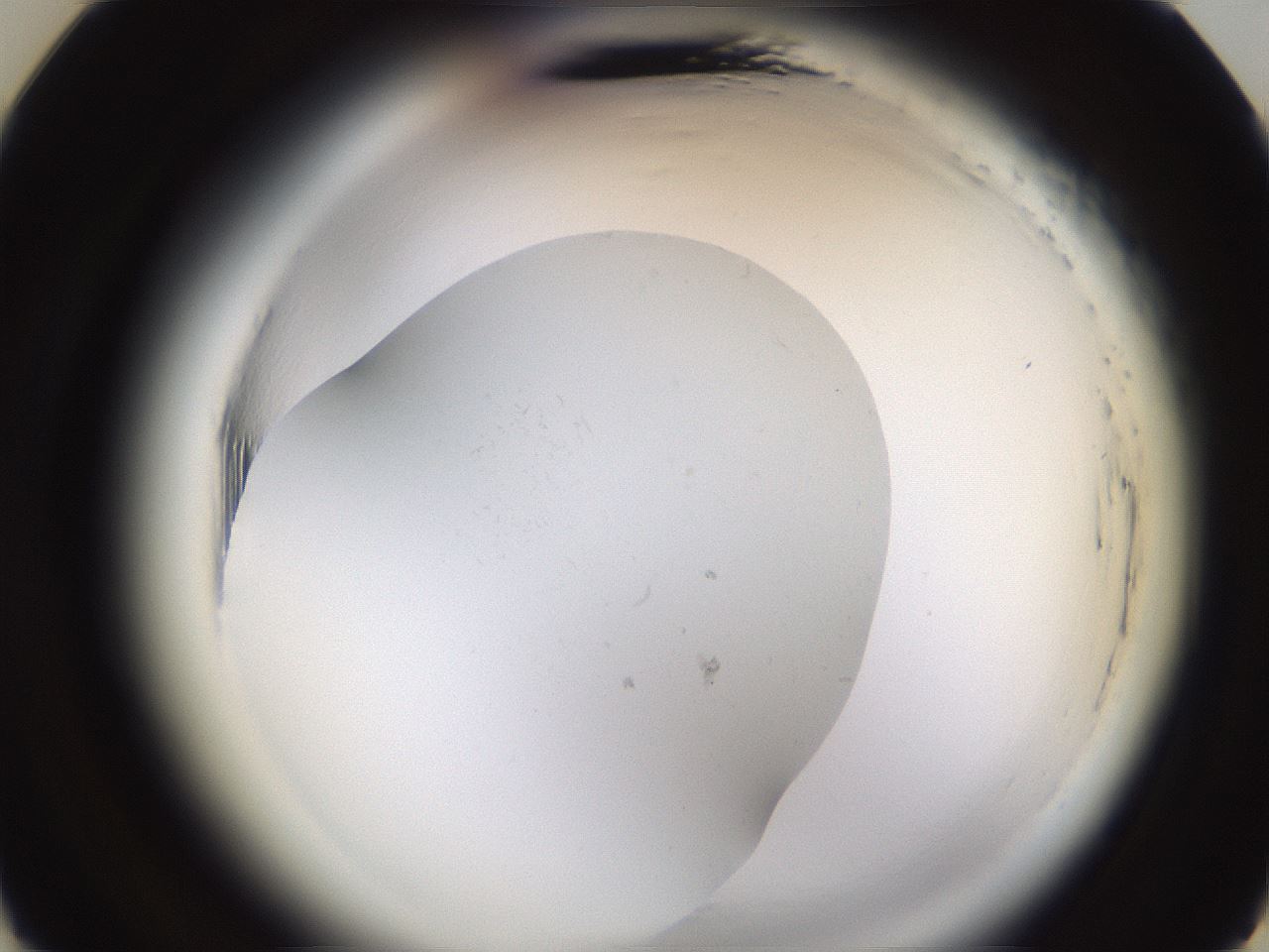 folderID597_plateID2597_batchID13193_wellNum21_profileID1_d3_r207432_ef.jpg