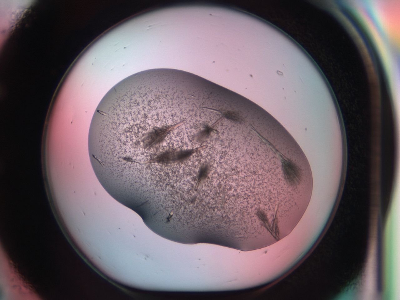 03cl_E7_ImagerDefaults_6.jpg