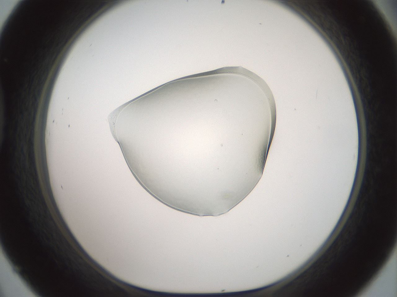 folderID600_plateID1600_batchID6725_wellNum45_profileID1_d1_r105484_ef.jpg