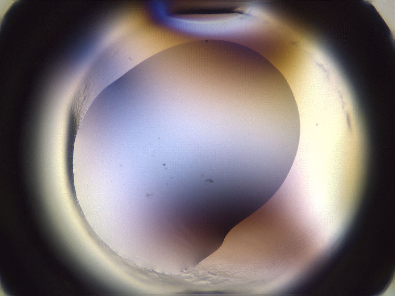 folderID600_plateID2600_batchID13161_wellNum3_profileID1_d3_r198737_ef.jpg