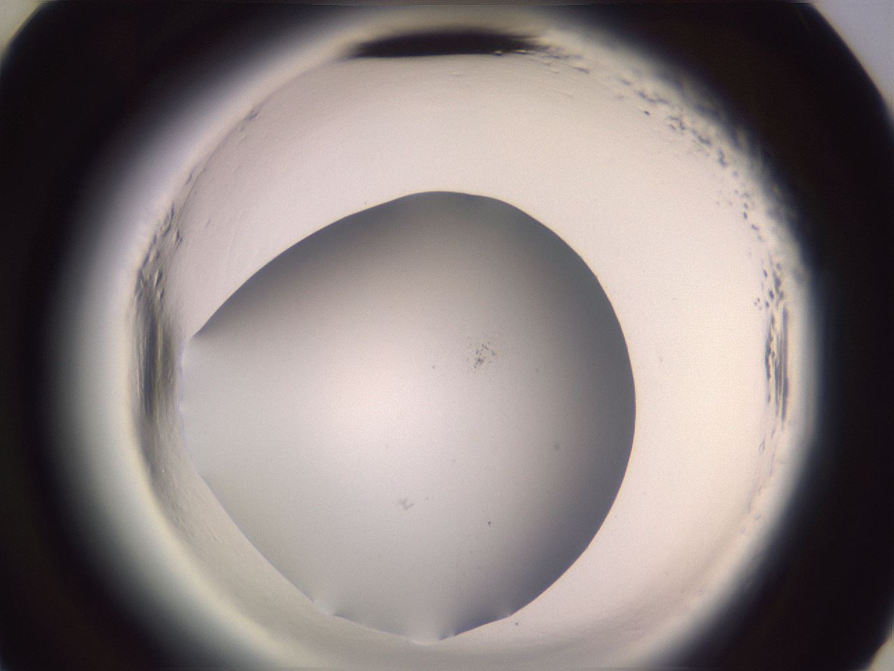 folderID600_plateID2600_batchID13161_wellNum45_profileID1_d3_r198863_ef.jpg