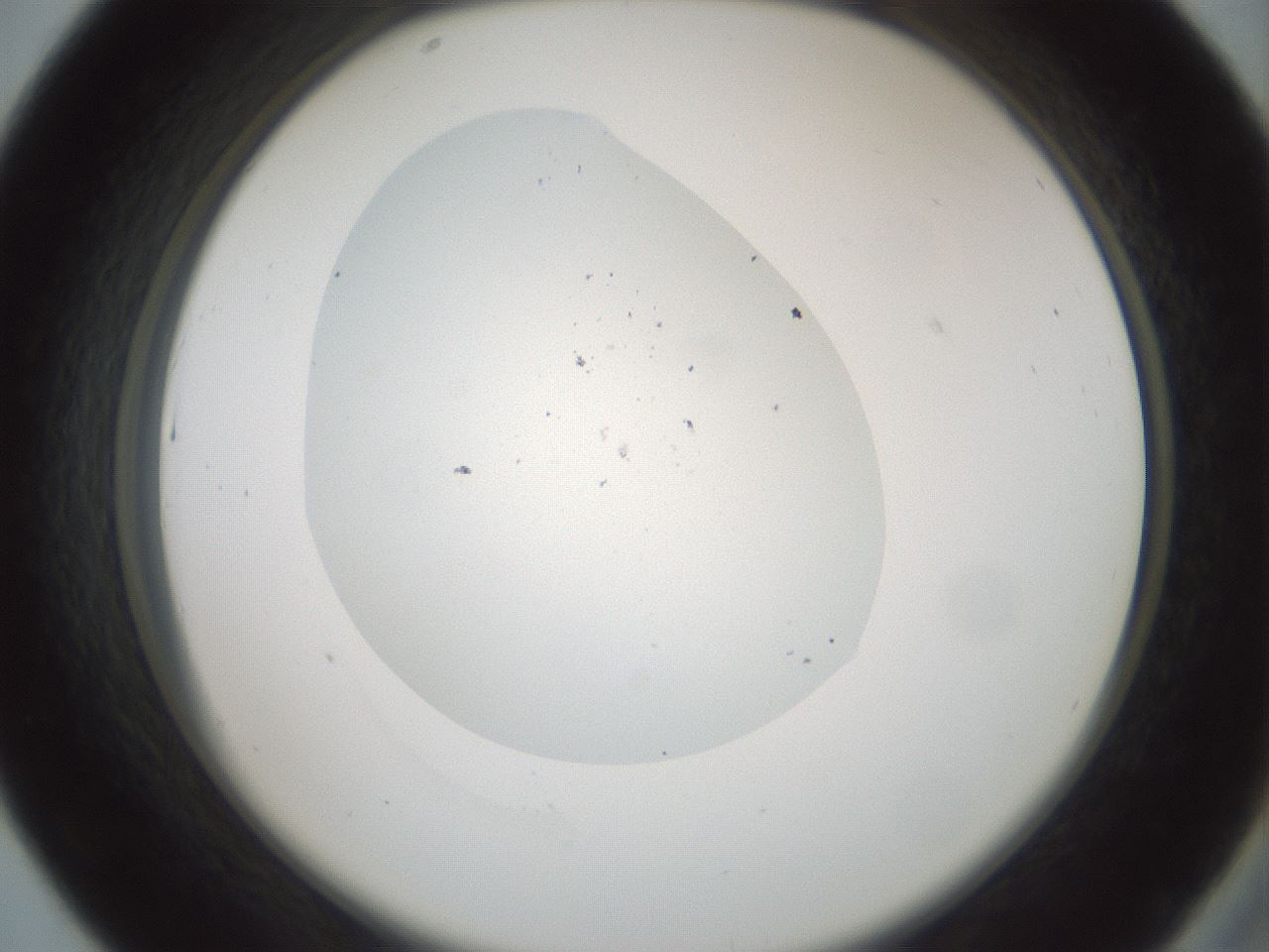 folderID601_plateID1601_batchID6734_wellNum43_profileID1_d2_r107209_ef.jpg