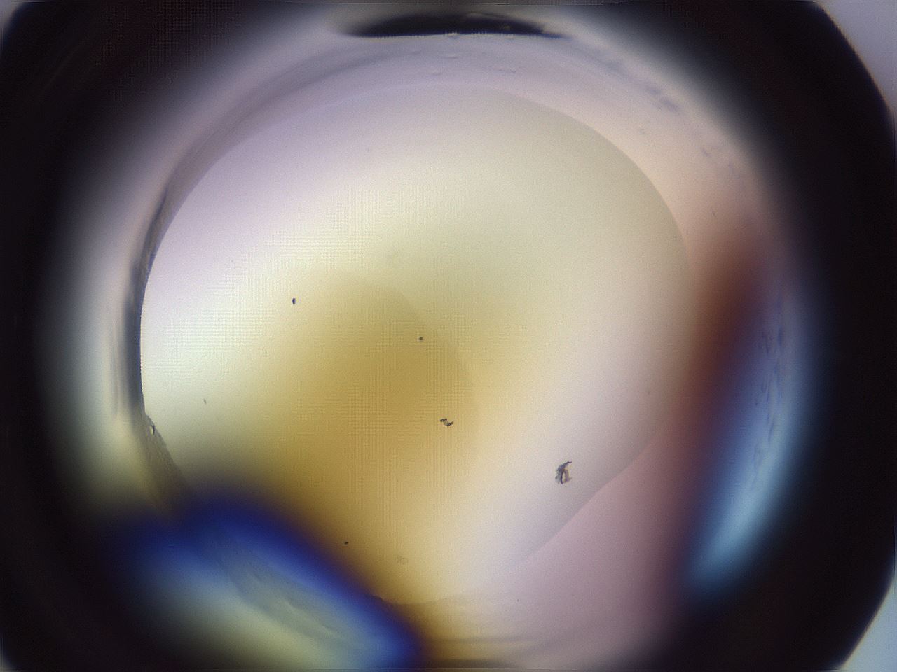 folderID601_plateID2601_batchID13164_wellNum2_profileID1_d1_r199596_ef.jpg