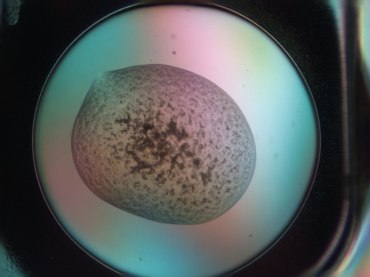 03cl_F11_ImagerDefaults_6.jpg