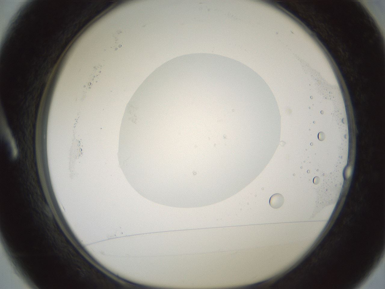 folderID602_plateID1602_batchID6722_wellNum1_profileID1_d1_r104820_ef.jpg