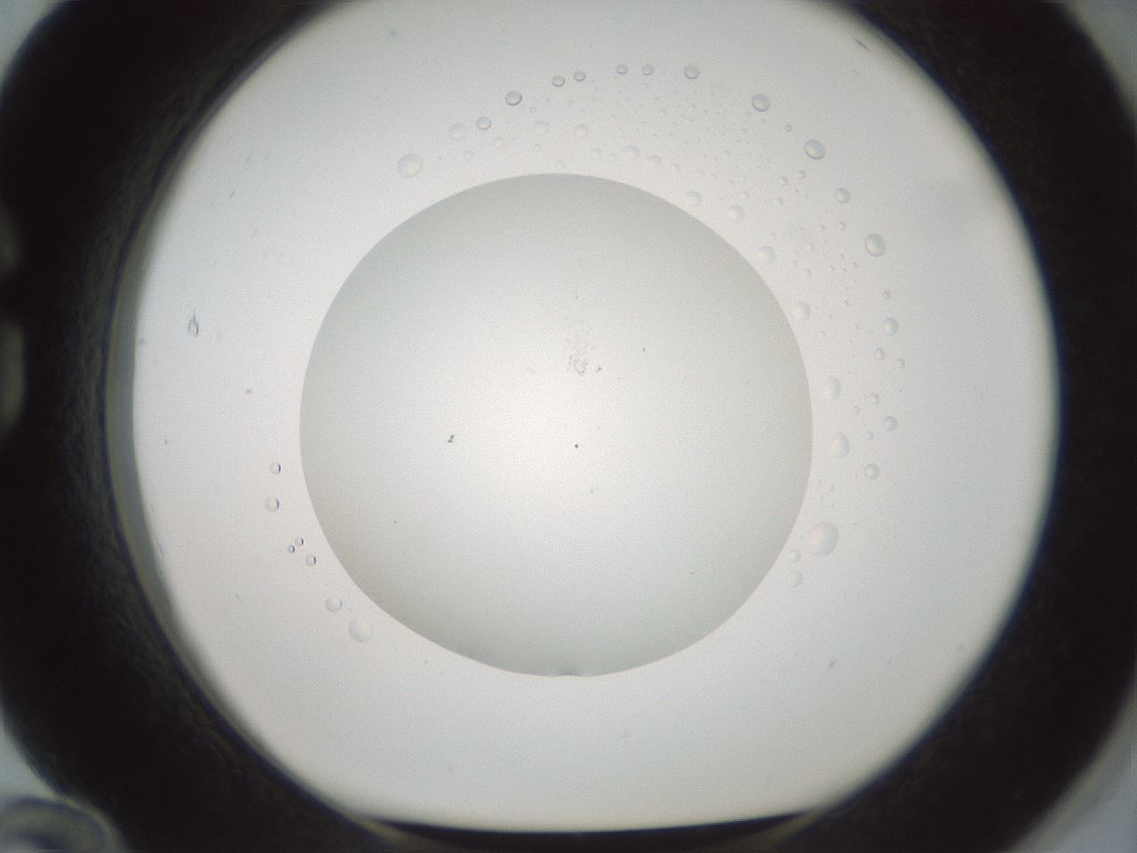 folderID602_plateID1602_batchID6722_wellNum84_profileID1_d1_r104986_ef.jpg