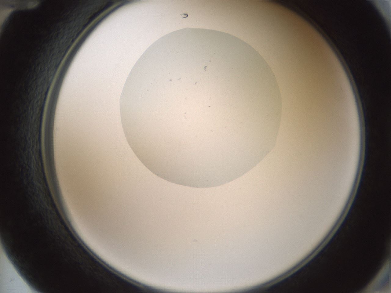 folderID602_plateID1602_batchID6722_wellNum72_profileID1_d2_r104963_ef.jpg