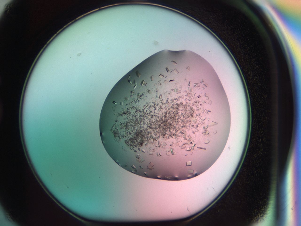 03cl_G2_ImagerDefaults_6.jpg