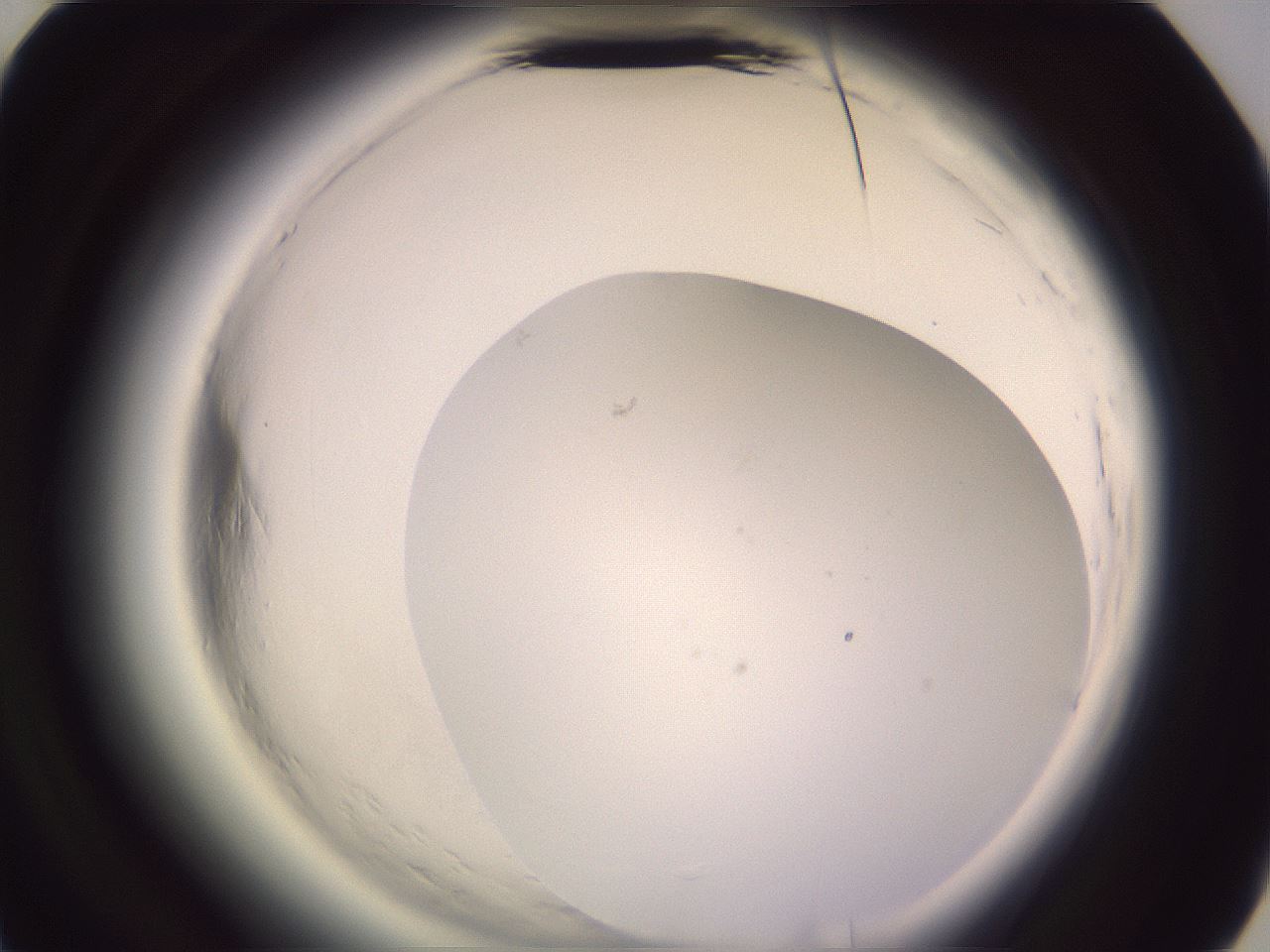 folderID602_plateID2602_batchID13166_wellNum44_profileID1_d3_r200588_ef.jpg
