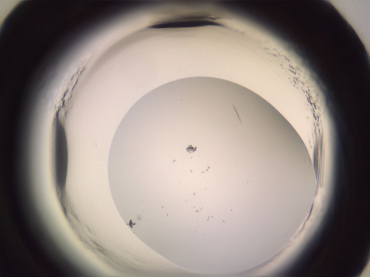 folderID602_plateID2602_batchID13166_wellNum59_profileID1_d3_r200633_ef.jpg
