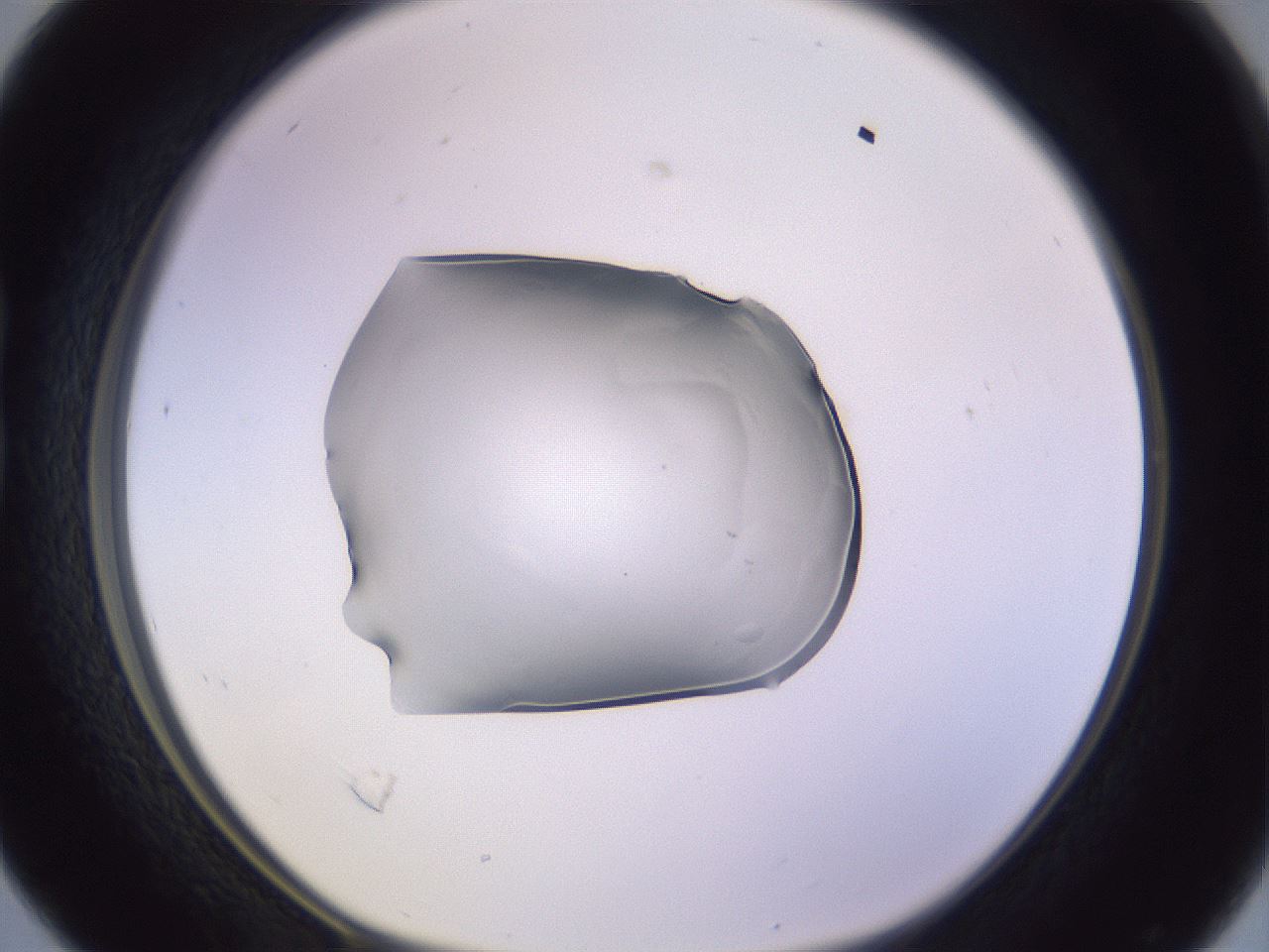 folderID603_plateID1603_batchID6730_wellNum16_profileID1_d1_r106386_ef.jpg