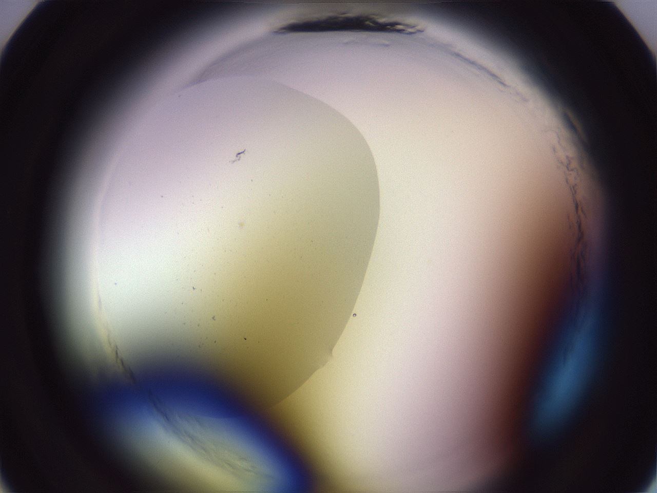 folderID603_plateID2603_batchID13168_wellNum10_profileID1_d1_r201348_ef.jpg