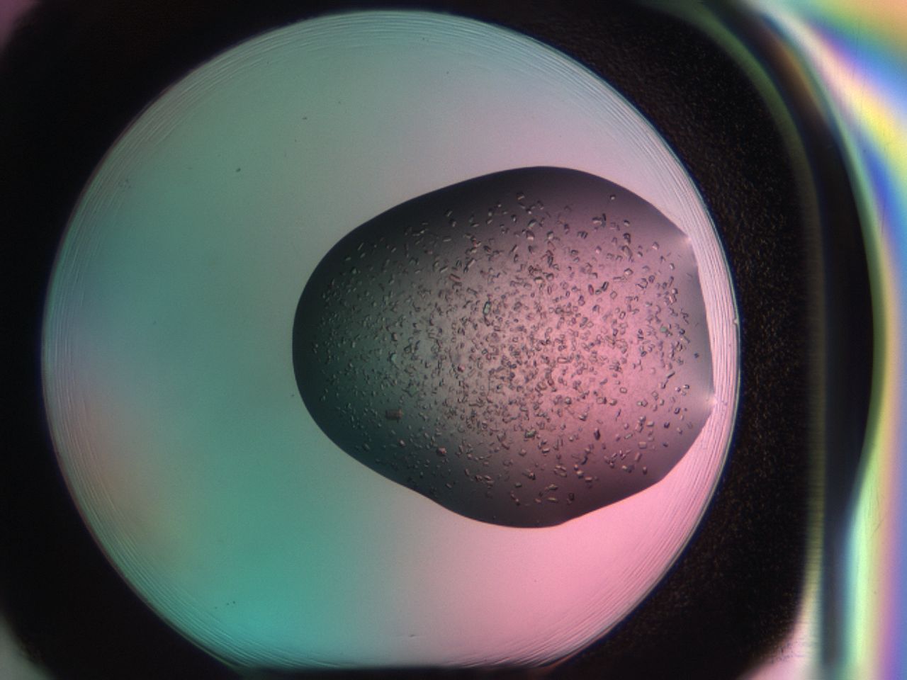 03cl_H1_ImagerDefaults_6.jpg