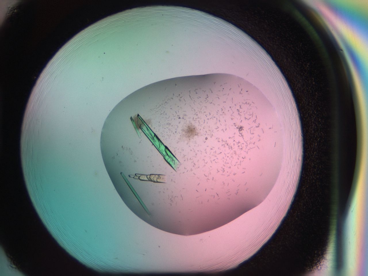 03cl_H2_ImagerDefaults_9.jpg