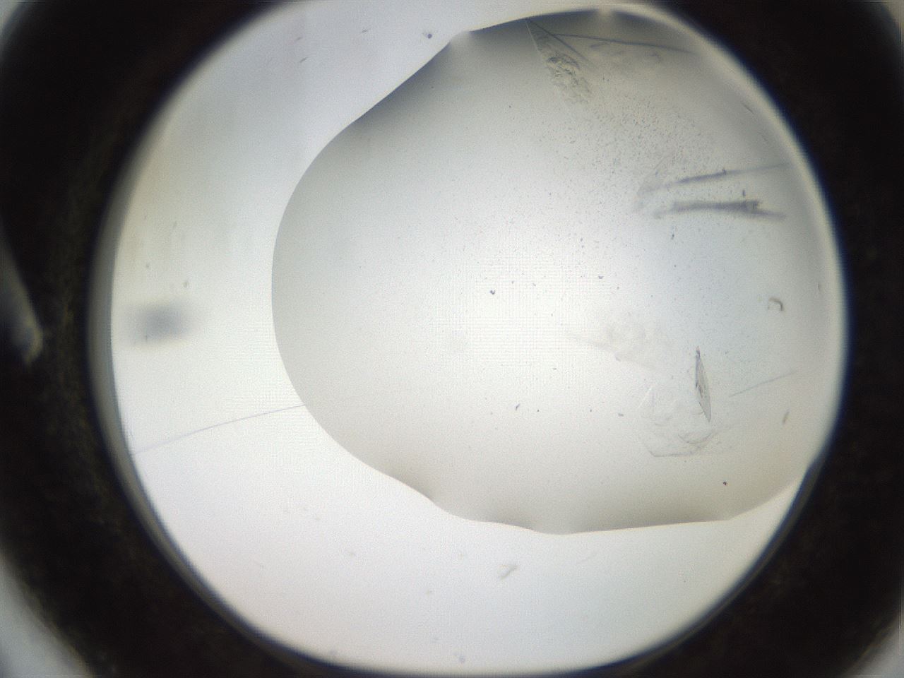 folderID235_plateID2235_batchID10125_wellNum6_profileID1_d1_r154464_ef.jpg