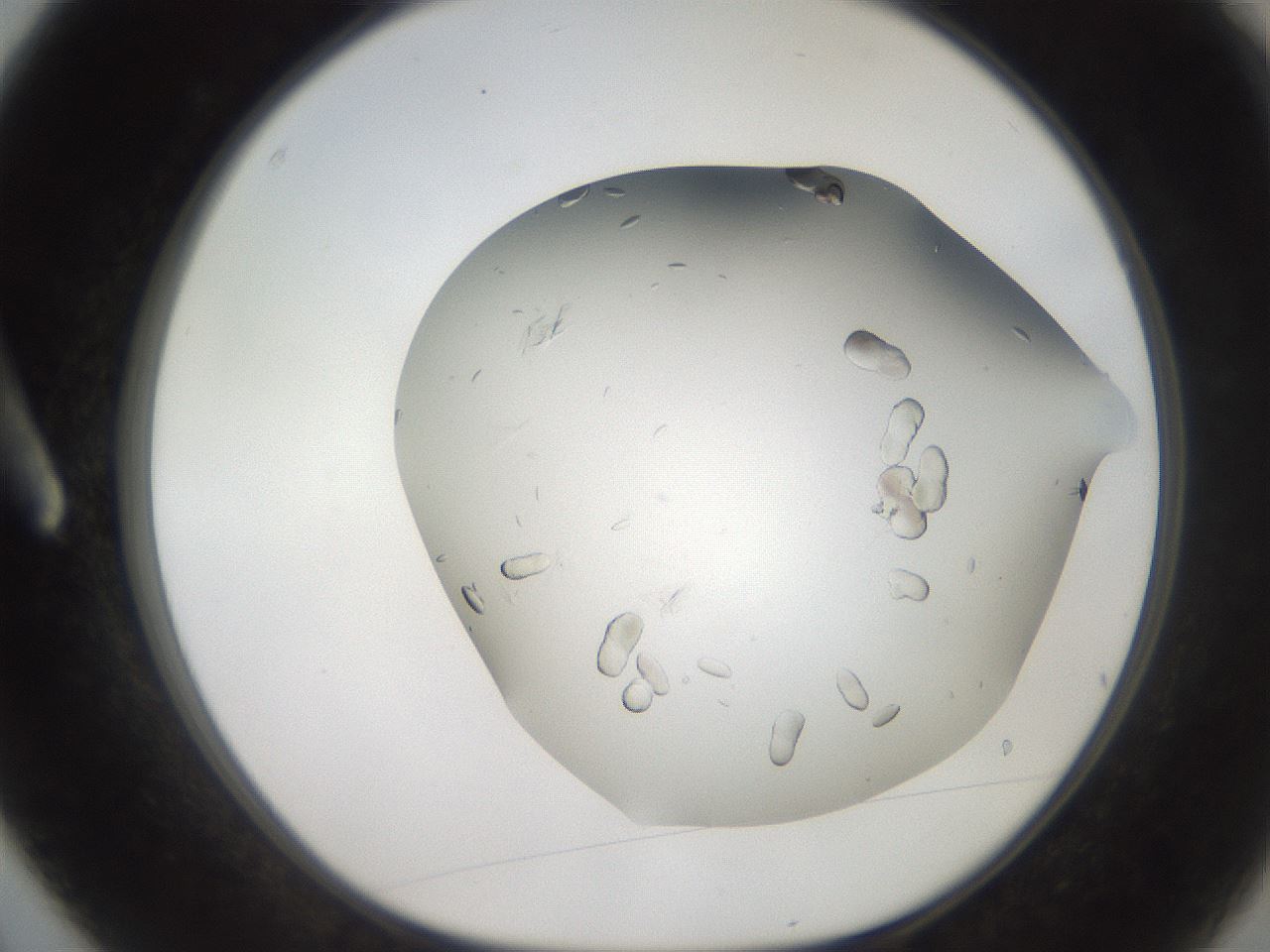 folderID242_plateID2242_batchID10224_wellNum3_profileID1_d1_r154772_ef.jpg