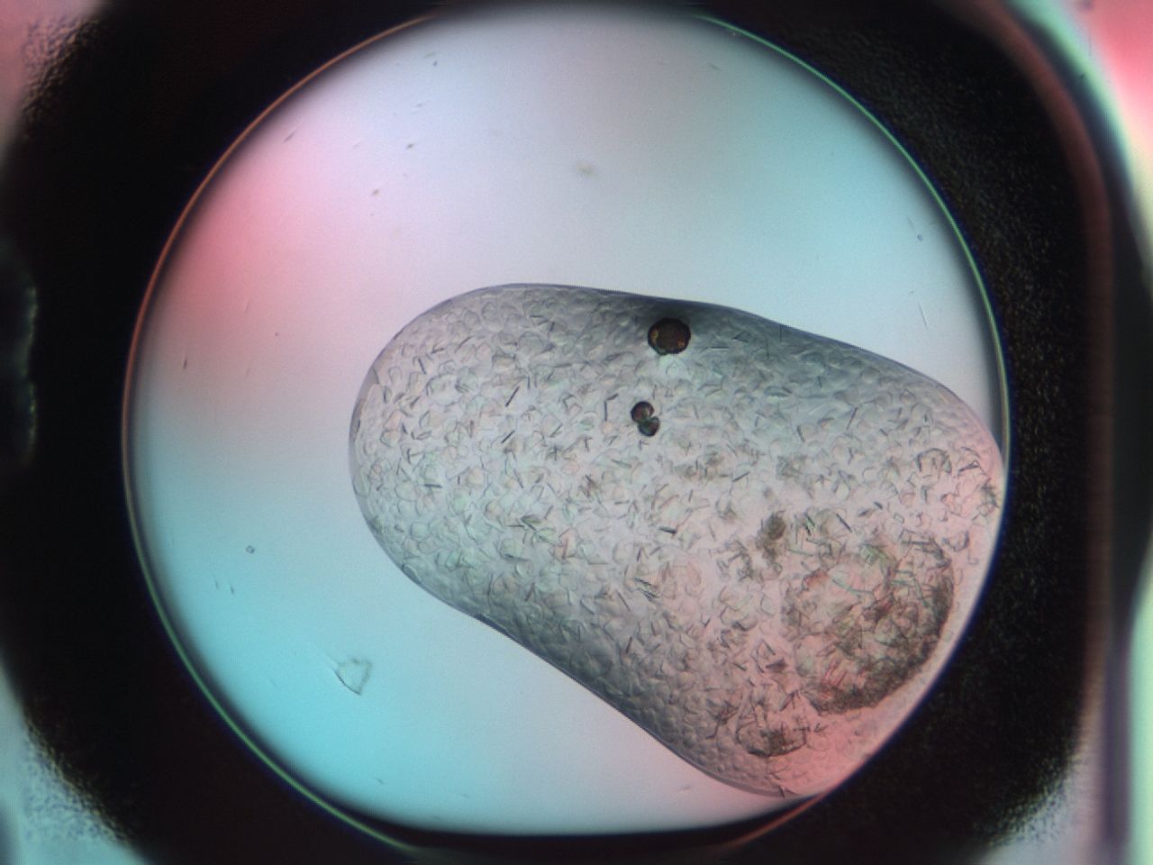 03cm_B4_ImagerDefaults_6.jpg