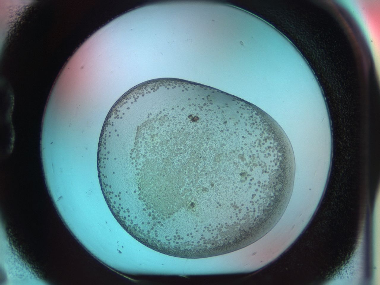 03cm_B6_ImagerDefaults_6.jpg
