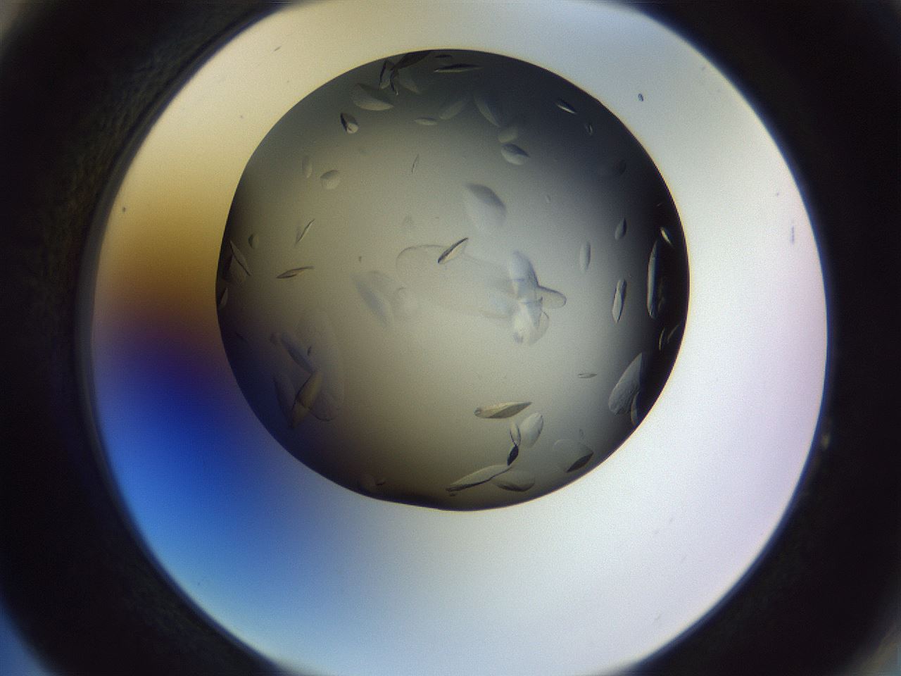 folderID470_plateID1470_batchID5701_wellNum64_profileID1_d2_r93092_ef.jpg