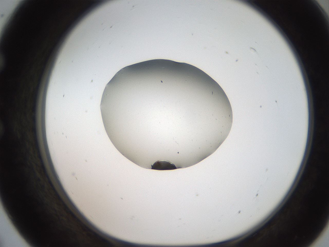 folderID269_plateID2269_batchID10706_wellNum55_profileID1_d1_r158398_ef.jpg